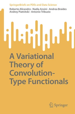Abbildung von Alicandro / Ansini | A Variational Theory of Convolution-Type Functionals | 1. Auflage | 2023 | beck-shop.de