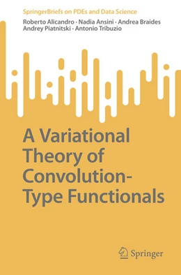 Abbildung von Alicandro / Ansini | A Variational Theory of Convolution-Type Functionals | 1. Auflage | 2023 | beck-shop.de