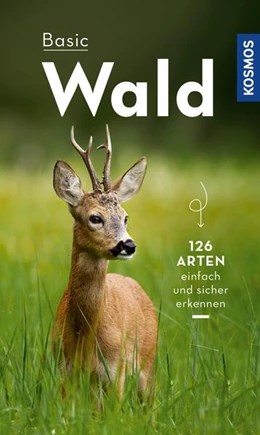 Abbildung von Wilhelmsen | Basic Wald | 1. Auflage | 2023 | beck-shop.de