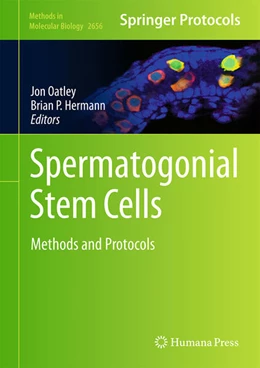 Abbildung von M. Oatley / Hermann | Spermatogonial Stem Cells | 1. Auflage | 2023 | beck-shop.de