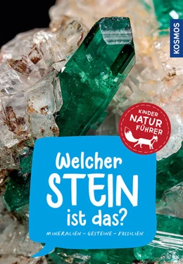 Abbildung von Hochleitner | Welcher Stein ist das? Kindernaturführer | 1. Auflage | 2023 | beck-shop.de