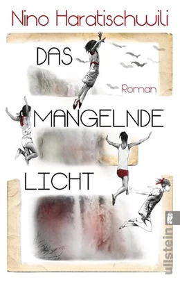 Abbildung von Haratischwili | Das mangelnde Licht | 1. Auflage | 2024 | beck-shop.de