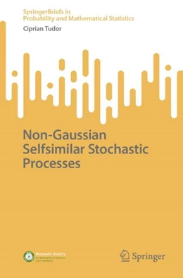 Abbildung von Tudor | Non-Gaussian Selfsimilar Stochastic Processes | 1. Auflage | 2023 | beck-shop.de