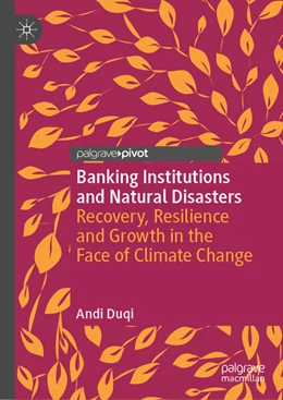 Abbildung von Duqi | Banking Institutions and Natural Disasters | 1. Auflage | 2023 | beck-shop.de