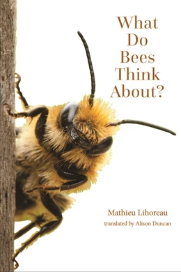 Abbildung von Lihoreau | What Do Bees Think About? | 1. Auflage | 2024 | beck-shop.de
