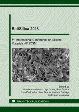 Abbildung von Mezinskis / Grase | BaltSilica 2018 | 1. Auflage | 2018 | beck-shop.de