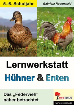 Abbildung von Rosenwald | Lernwerkstatt Hühner und Enten / Sekundarstufe | 1. Auflage | 2023 | beck-shop.de