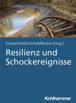 Abbildung von Karsten / Voßschmidt | Resilienz und Schockereignisse | 1. Auflage | 2024 | beck-shop.de