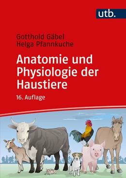 Abbildung von Gäbel / Pfannkuche | Anatomie und Physiologie der Haustiere | 16. Auflage | 2024 | beck-shop.de