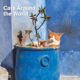 Abbildung von Neumann | Cats Around the World 2025 - Wand-Kalender - Broschüren-Kalender - 30x30 - 30x60 geöffnet - Katzen-Kalender | 1. Auflage | 2024 | beck-shop.de