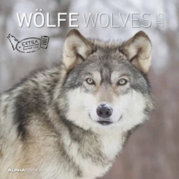 Abbildung von Alpha Edition | Wölfe 2025 - Broschürenkalender 30x30 cm (30x60 geöffnet) - Kalender mit Platz für Notizen - Wolves - Bildkalender - Wandplaner - Alpha Edition | 1. Auflage | 2024 | beck-shop.de