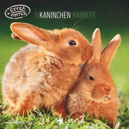 Abbildung von Alpha Edition | Kaninchen 2025 - Broschürenkalender 30x30 cm (30x60 geöffnet) - Kalender mit Platz für Notizen - Rabbits - Bildkalender - Wandplaner - Wandkalender | 1. Auflage | 2024 | beck-shop.de