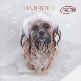 Abbildung von Alpha Edition | Funny Dogs 2025 - Broschürenkalender 30x30 cm (30x60 geöffnet) - Kalender mit Platz für Notizen - Hunde - Bildkalender - Wandkalender - Hundekalender | 1. Auflage | 2024 | beck-shop.de