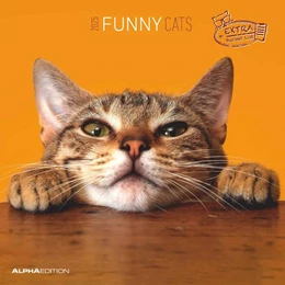 Abbildung von Alpha Edition | Funny Cats 2025 - Broschürenkalender 30x30 cm (30x60 geöffnet) - Kalender mit Platz für Notizen - Katzen - Bildkalender - Wandplaner - Katzenkalender | 1. Auflage | 2024 | beck-shop.de