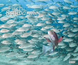 Abbildung von Dumont Kalenderverlag | Fischschwärme 2025 - Unterwasser-Natur-Fotografie - Wandkalender 60 x 50 cm - Spiralbindung | 1. Auflage | 2024 | beck-shop.de