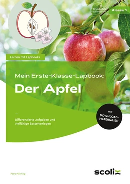 Abbildung von Mönning | Mein Erste-Klasse-Lapbook: Der Apfel | 1. Auflage | 2023 | beck-shop.de