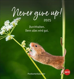 Abbildung von Heye | Never give up! Postkartenkalender 2025 | 1. Auflage | 2024 | beck-shop.de