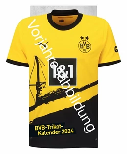 Abbildung von Heye | BVB Trikotkalender 2025 | 1. Auflage | 2024 | beck-shop.de