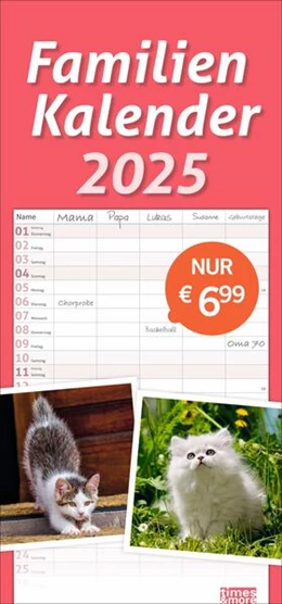 Abbildung von Heye | Katzen Familienplaner 2025 | 1. Auflage | 2024 | beck-shop.de