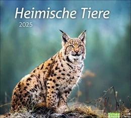 Abbildung von Heimische Tiere Bildkalender 2025 | 1. Auflage | 2024 | beck-shop.de