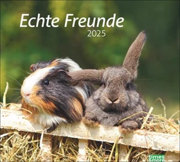 Abbildung von Heye | Echte Freunde Bildkalender 2025 | 1. Auflage | 2024 | beck-shop.de