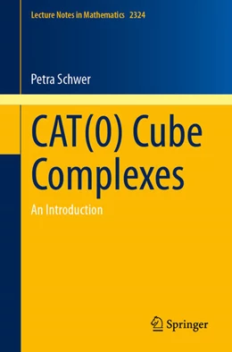 Abbildung von Schwer | CAT(0) Cube Complexes | 1. Auflage | 2024 | beck-shop.de