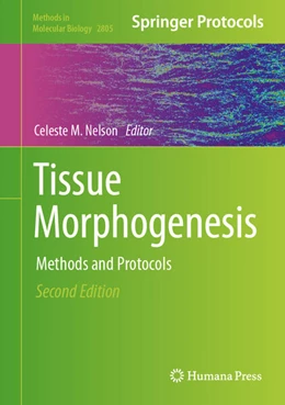 Abbildung von Nelson | Tissue Morphogenesis | 1. Auflage | 2024 | 2805 | beck-shop.de