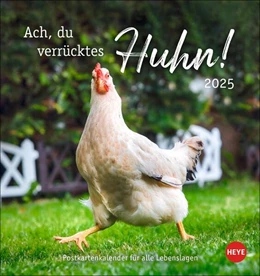 Abbildung von Hühner Postkartenkalender 2025 - Ach, du verrücktes Huhn! | 1. Auflage | 2024 | beck-shop.de