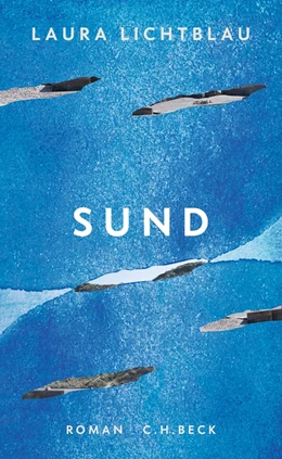 Abbildung von Lichtblau | Sund | 1. Auflage | 2024 | beck-shop.de