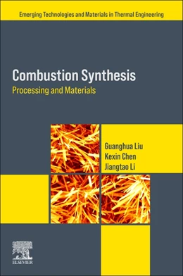 Abbildung von Liu / Chen | Combustion Synthesis | 1. Auflage | 2024 | beck-shop.de