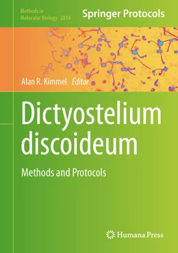Abbildung von Kimmel | Dictyostelium discoideum | 1. Auflage | 2024 | 2814 | beck-shop.de