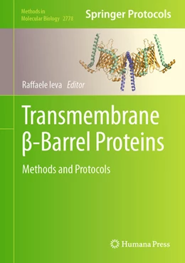 Abbildung von Ieva | Transmembrane ß-Barrel Proteins | 1. Auflage | 2024 | beck-shop.de