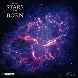 Abbildung von Where Stars are Born 2025 | 1. Auflage | 2024 | beck-shop.de