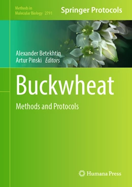 Abbildung von Betekhtin / Pinski | Buckwheat | 1. Auflage | 2024 | beck-shop.de