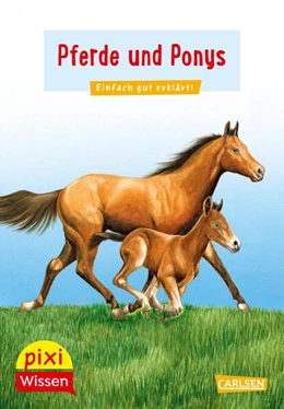 Abbildung von Sörensen | Pixi Wissen 1: VE 5 Pferde und Ponys | 1. Auflage | 2024 | beck-shop.de