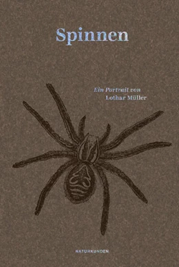 Abbildung von Müller / Schalansky | Spinnen | 1. Auflage | 2024 | beck-shop.de