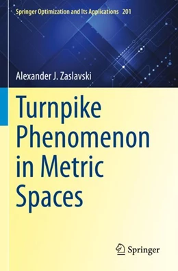 Abbildung von Zaslavski | Turnpike Phenomenon in Metric Spaces | 1. Auflage | 2024 | beck-shop.de