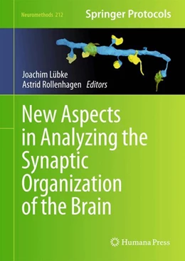 Abbildung von Lübke / Rollenhagen | New Aspects in Analyzing the Synaptic Organization of the Brain | 1. Auflage | 2024 | 212 | beck-shop.de