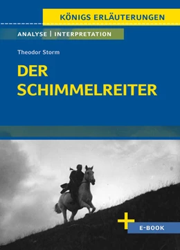 Abbildung von Storm | Der Schimmelreiter von Theodor Storm - Textanalyse und Interpretation | 1. Auflage | 2024 | beck-shop.de
