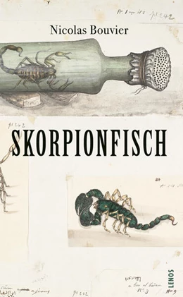 Abbildung von Bouvier | Skorpionfisch | 2. Auflage | 2024 | beck-shop.de