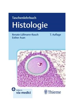 Abbildung von Lüllmann-Rauch / Asan | Taschenlehrbuch Histologie | 7. Auflage | 2024 | beck-shop.de
