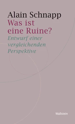 Abbildung von Schnapp | Was ist eine Ruine? | 1. Auflage | 2014 | beck-shop.de