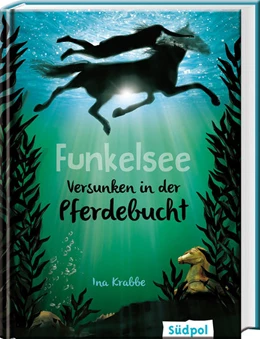 Abbildung von Krabbe | Funkelsee - Versunken in der Pferdebucht (Band 2) | 1. Auflage | 2017 | beck-shop.de