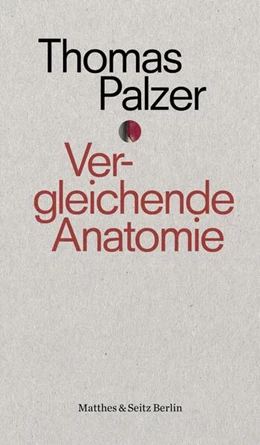 Abbildung von Palzer | Vergleichende Anatomie | 1. Auflage | 2018 | beck-shop.de