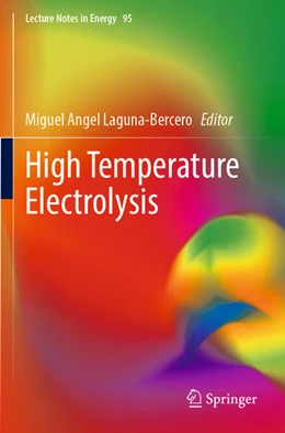 Abbildung von Laguna-Bercero | High Temperature Electrolysis | 1. Auflage | 2024 | beck-shop.de