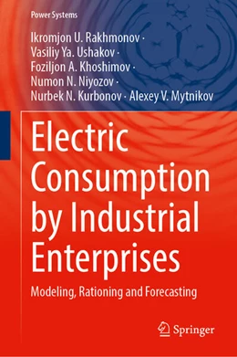Abbildung von Rakhmonov / Ushakov | Electric Consumption by Industrial Enterprises | 1. Auflage | 2024 | beck-shop.de