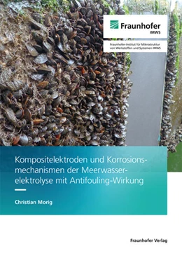 Abbildung von Morig | Kompositelektroden und Korrosionsmechanismen der Meerwasserelektrolyse mit Antifouling-Wirkung | 1. Auflage | 2024 | beck-shop.de
