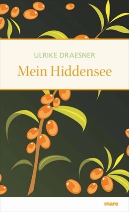 Abbildung von Draesner | Mein Hiddensee | 1. Auflage | 2019 | beck-shop.de