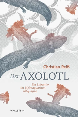 Abbildung von Reiß | Der Axolotl | 1. Auflage | 2020 | beck-shop.de