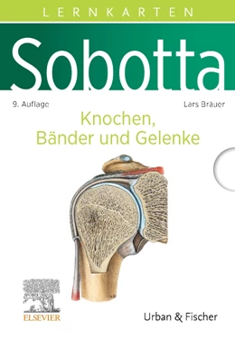 Abbildung von Bräuer | Sobotta Lernkarten Knochen, Bänder und Gelenke | 9. Auflage | 2024 | beck-shop.de